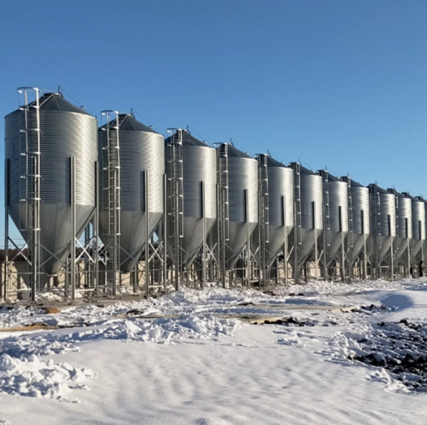 1000 Ton Galvanized Steel Feed Silo for Grain Storage