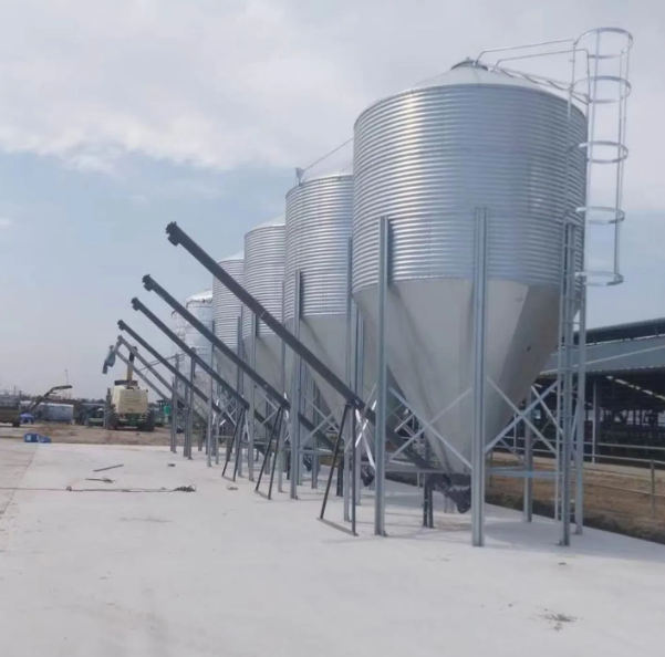 1000 Ton Galvanized Steel Feed Silo for Grain Storage